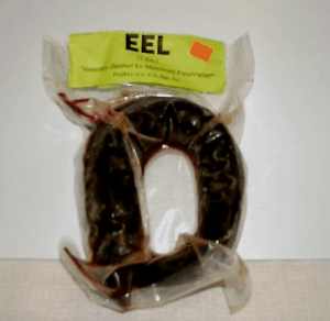 Lamprey Eel